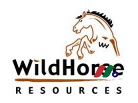 wildhorse-resource-development