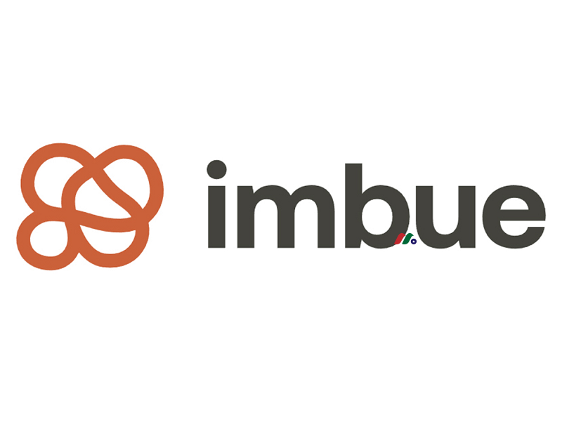 英伟达投资的可推理人工智能系统开发公司：Imbue Inc.